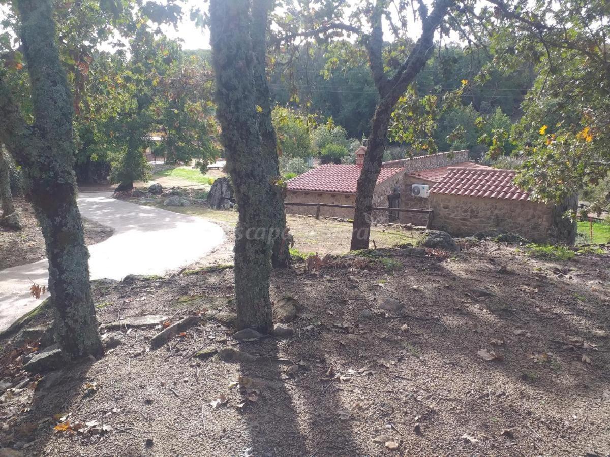 Country house El Majano