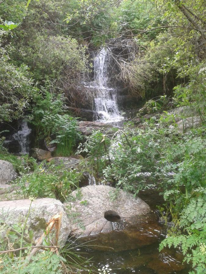 Country house El Majano